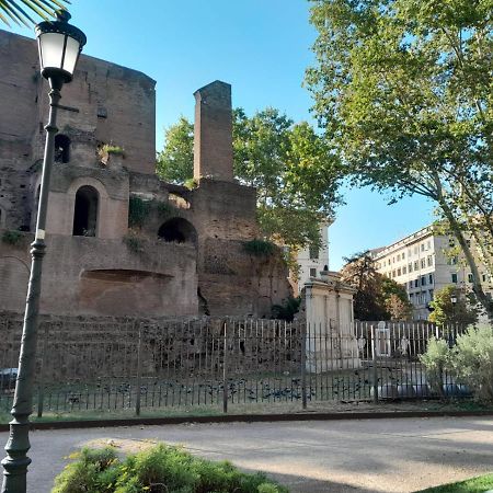 Pensiero Romano المظهر الخارجي الصورة